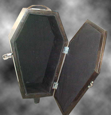 Coffin Carry On Luggage