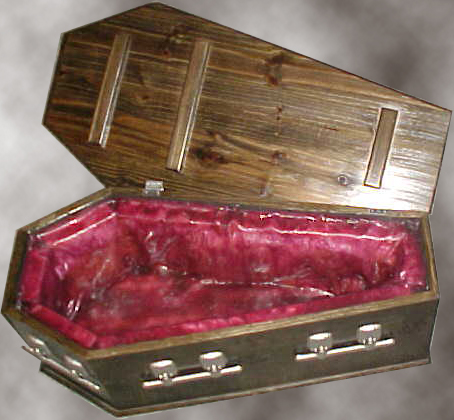 Coffin Cooler Miguel Bizzare Interior