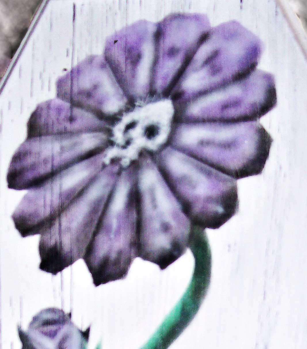 Death Daisy Detail