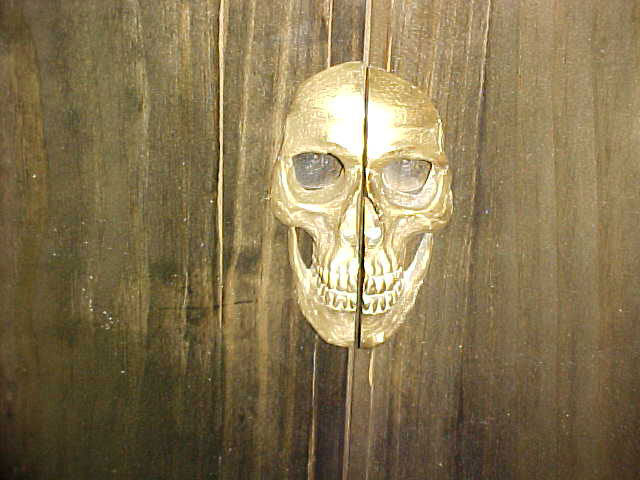 Skull detail
